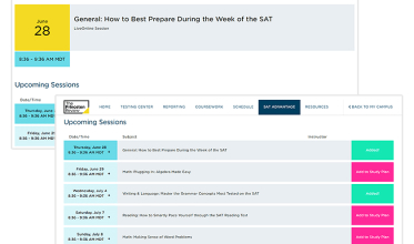 Auto-generated Study Plan